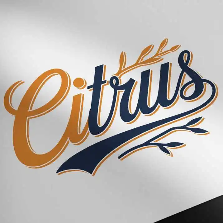 Travel Transformation Thumbnail